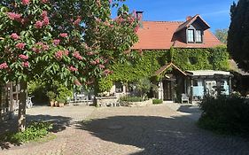 Pension Kastanienhof